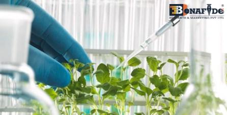 A New Era in Farming: The role of biotechnology in modernizing global farming practices suggests that the market is anticipated to cross USD 80 Billion by 2029.
