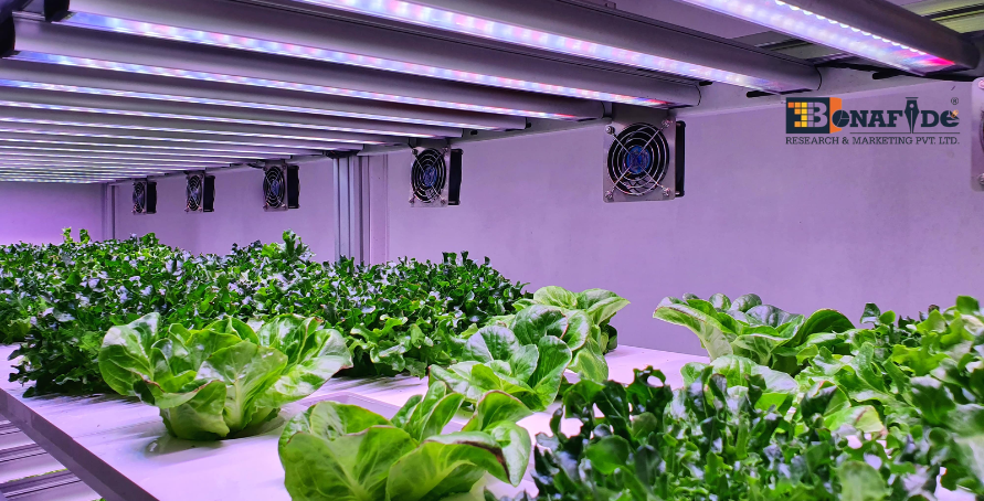 Transforming traditional agriculture into high tech vertical and indoor farming ecosystems focused on sustainability and productivity.