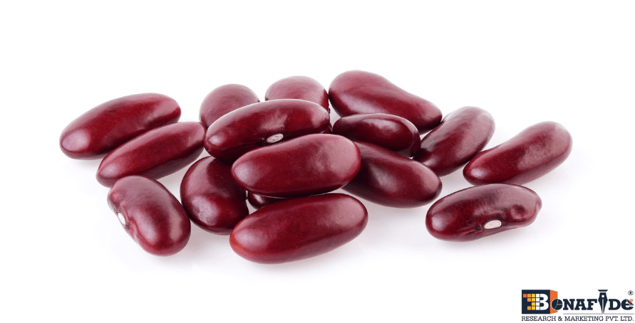 Global Kidney Beans Market Surges Amid Rising Health Awareness, Plant-Based Diet Trends, and Expanding Household Consumption Across Emerging and Developed Regions.