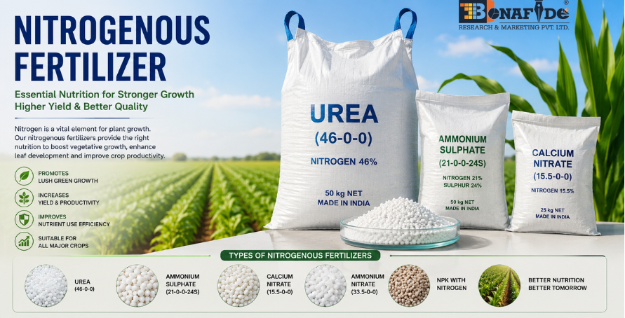 Nitrogen Fertilizers at the Crossroads of Food Security, Energy Economics, and Climate Policy