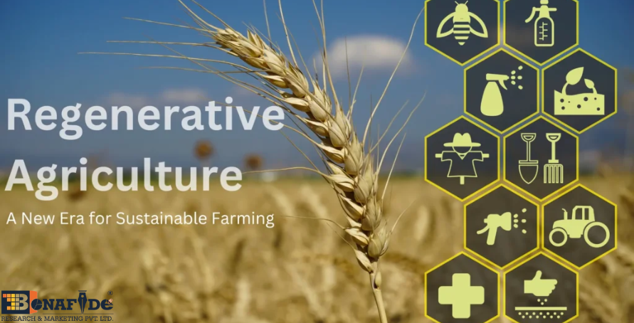 Regenerative Agriculture Gains Global Traction as Sustainable Farming Model Expands 