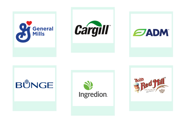 Top Six Companies Europe Flour Market