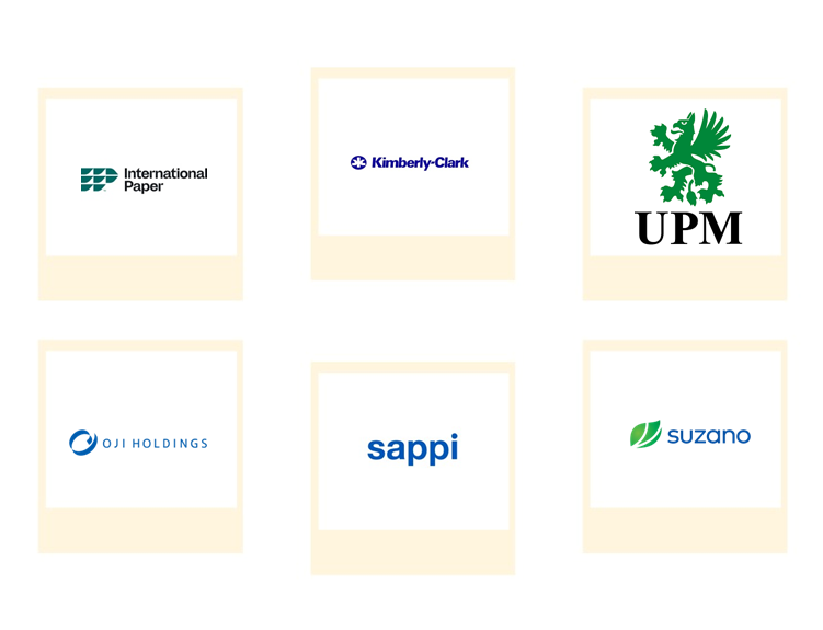 Top 6 Companies in Global Pulp And Paper Market 