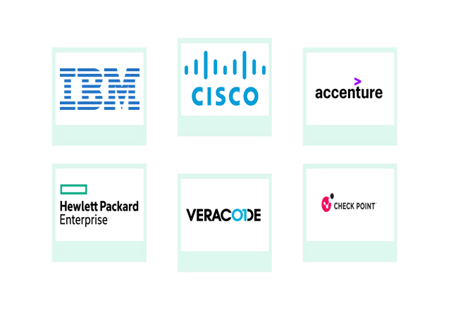 Top Companies Global Security Testing Market