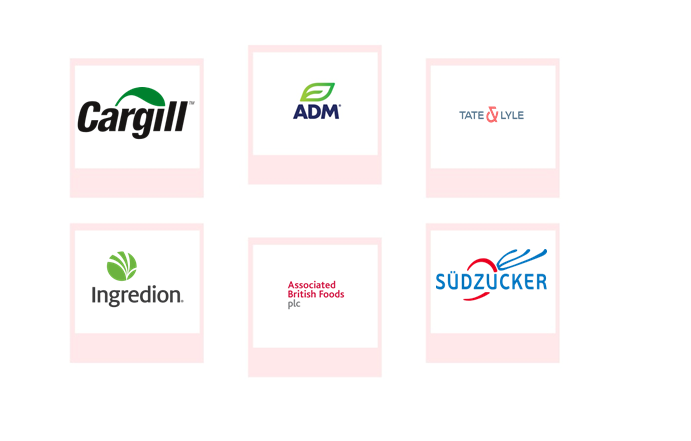 Top Companies Global Sweeteners Market