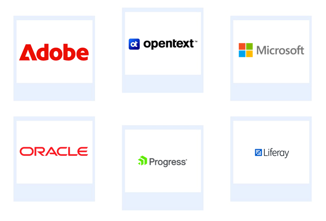 Top Six Companies Global Web Content Management Market