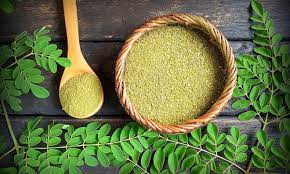Moringa products gaining momentum worldwide