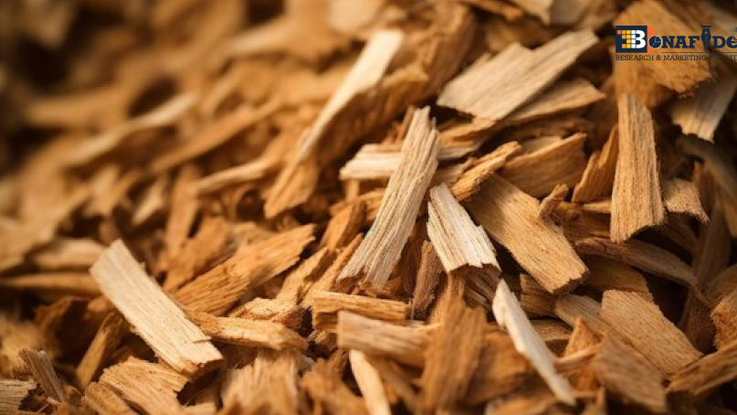 Wood bio-products market, transforming forest resources into sustainable industrial solutions