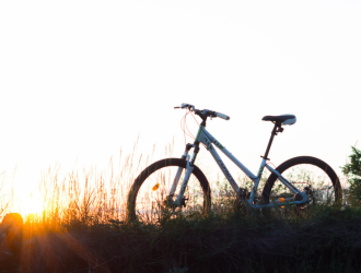 Bicycle Bliss: Pedaling Towards a Sustainable Future
