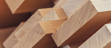Wood bio-products market, transforming forest resources into sustainable industrial solutions
