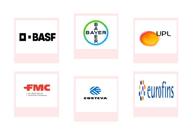 Company mentioned