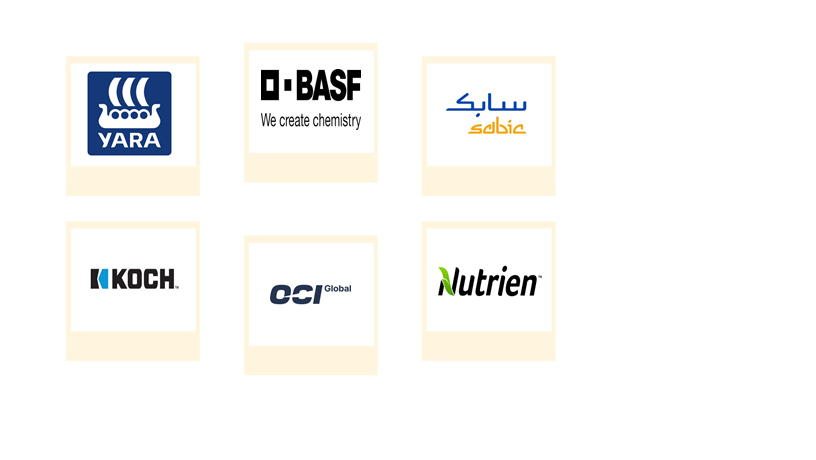 Company mentioned