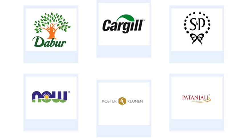 Company mentioned Company mentioned