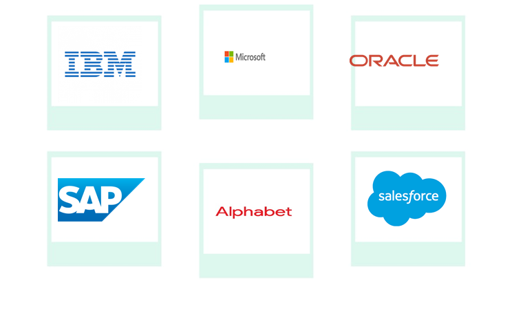Company mentioned