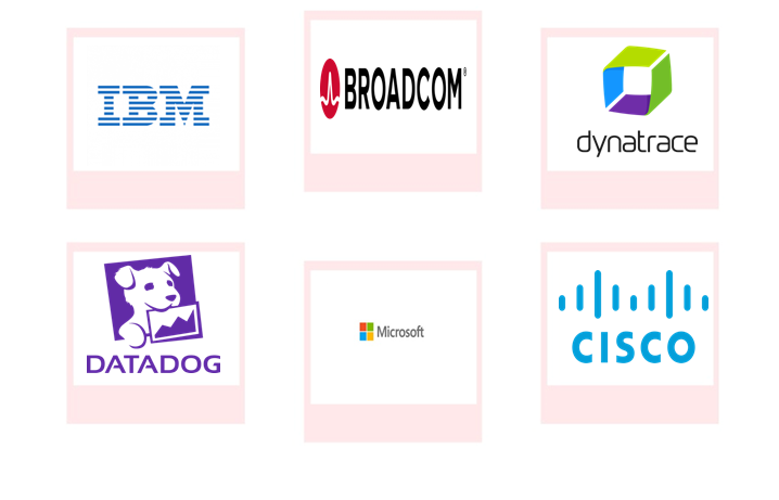 Company mentioned