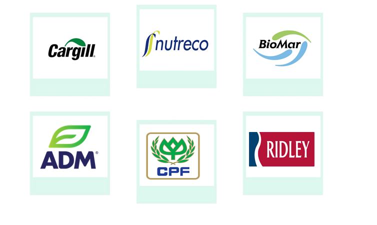 Company mentioned