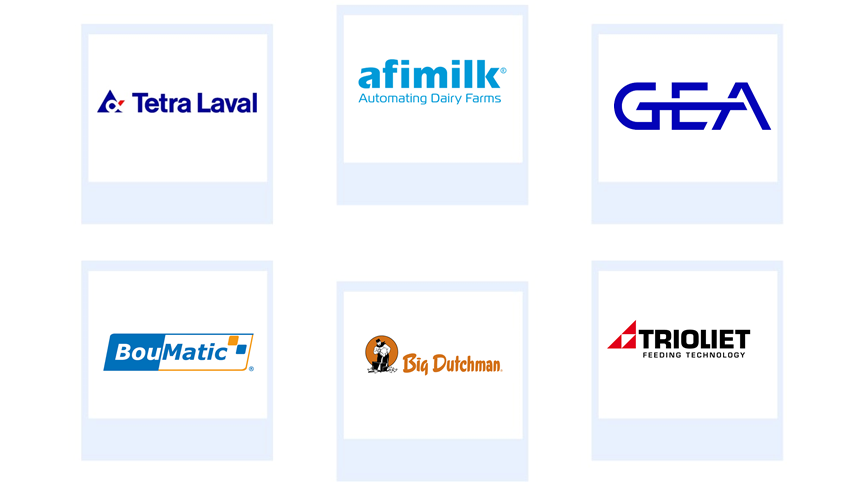 Company mentioned Company mentioned