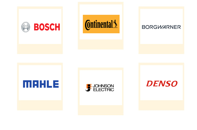 Company mentioned