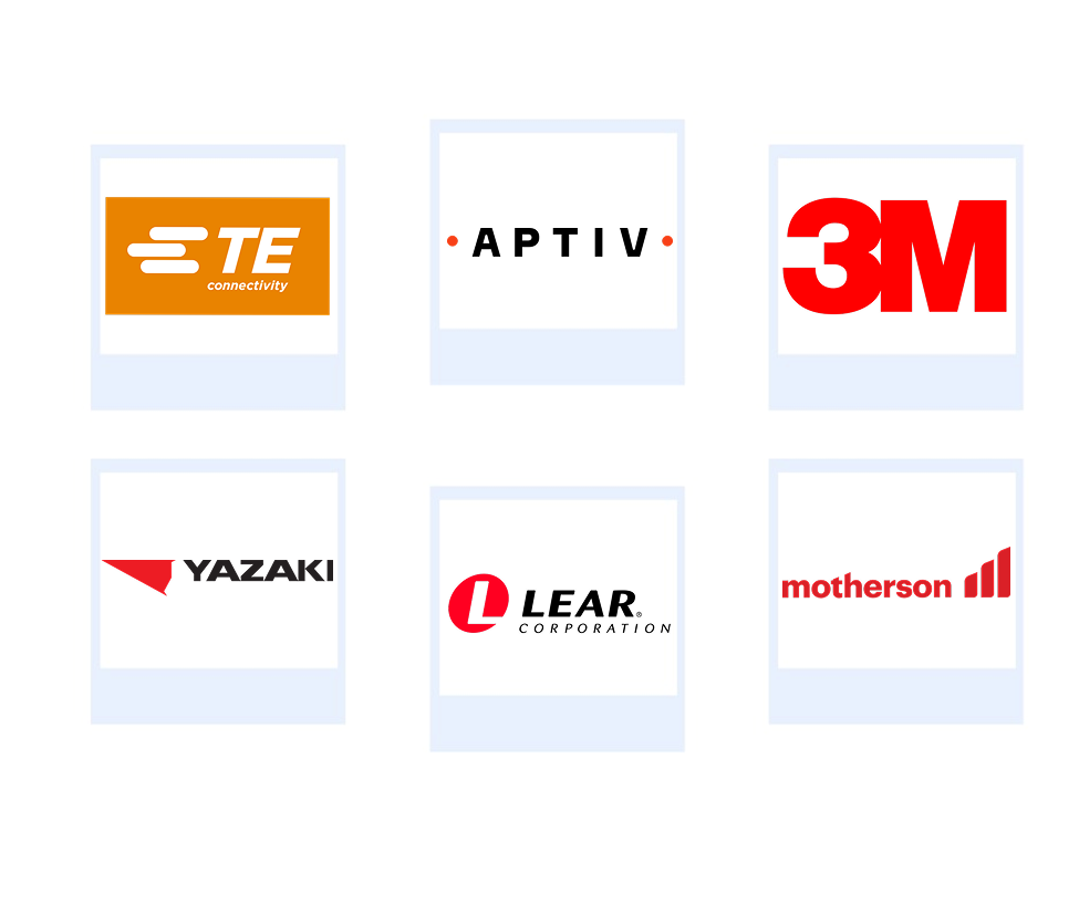 Company mentioned