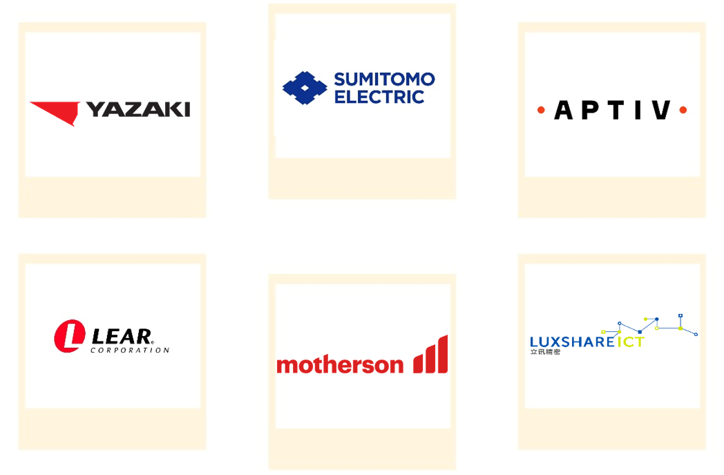 Company mentioned Company mentioned