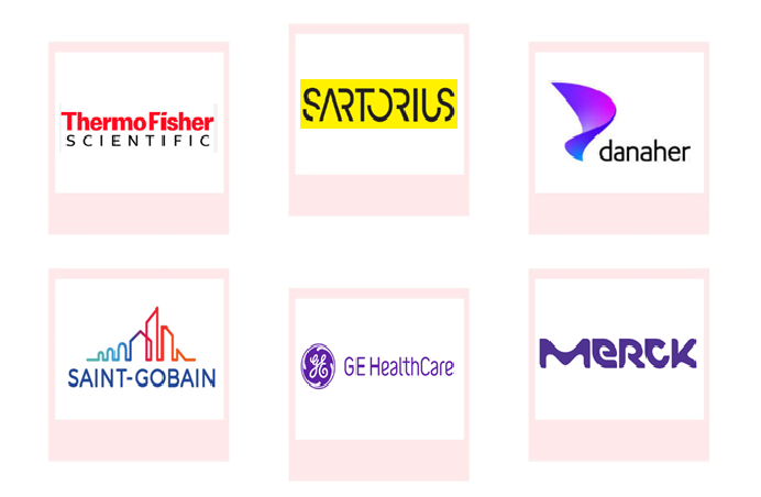 Company mentioned