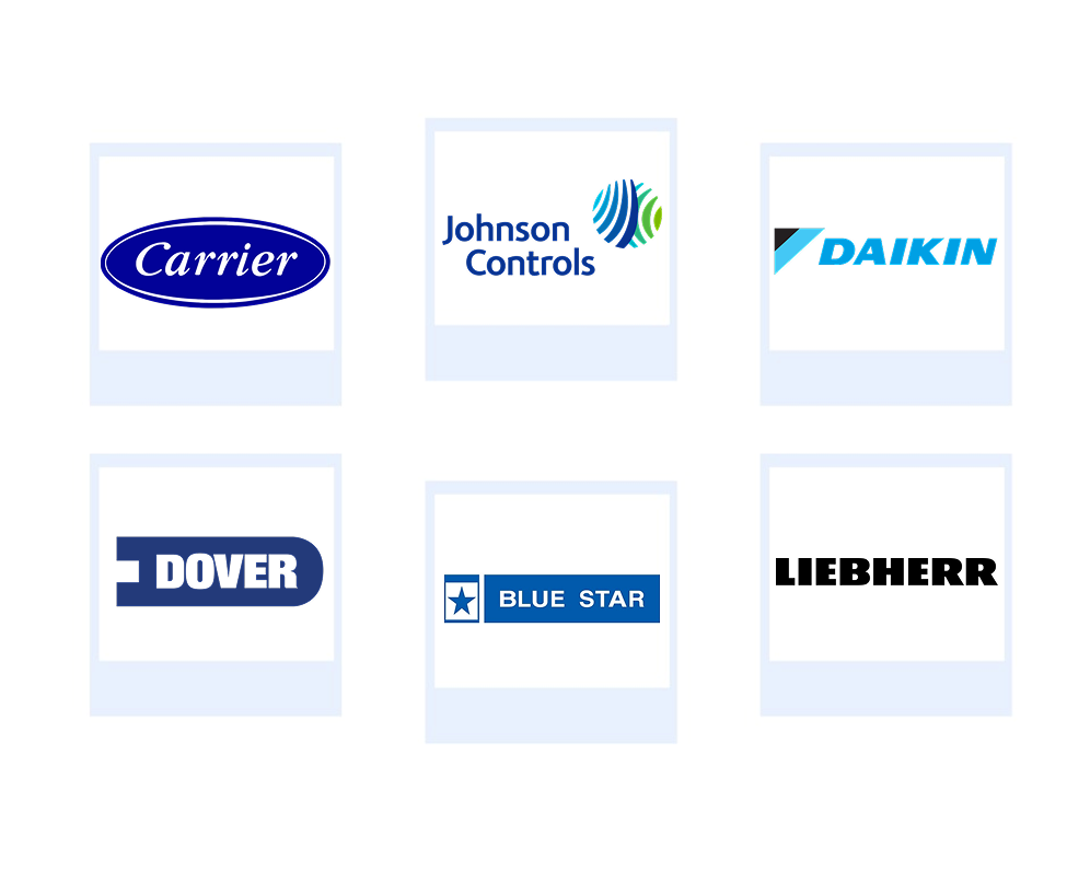 Company mentioned
