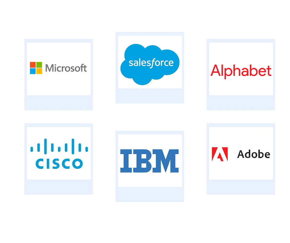 Company mentioned