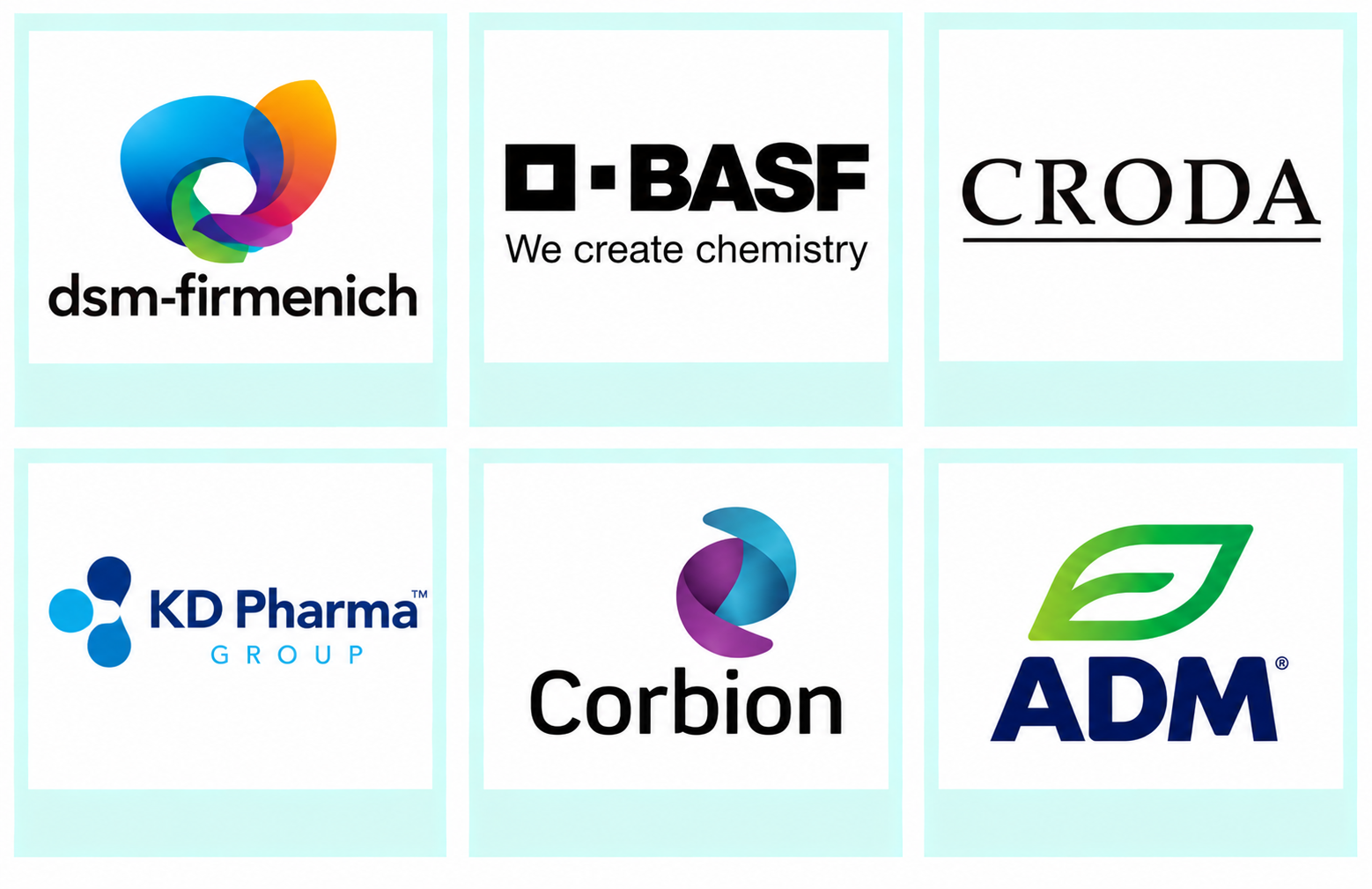 Company mentioned Company mentioned