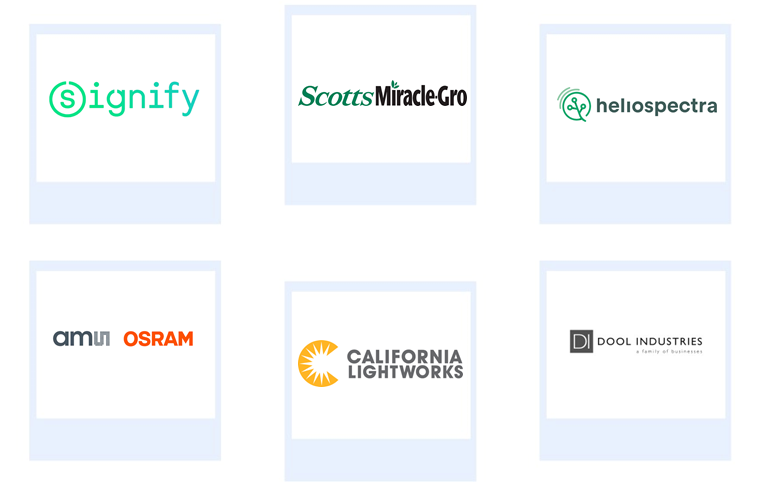 Company mentioned