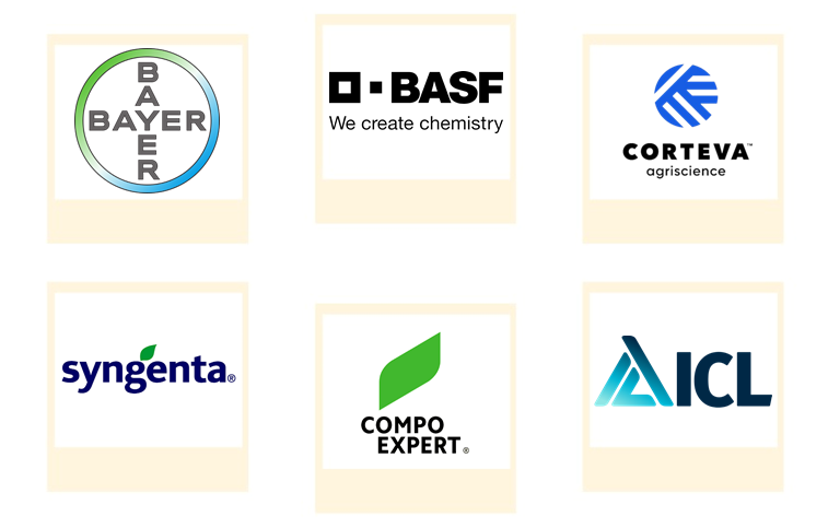 Company mentioned Company mentioned