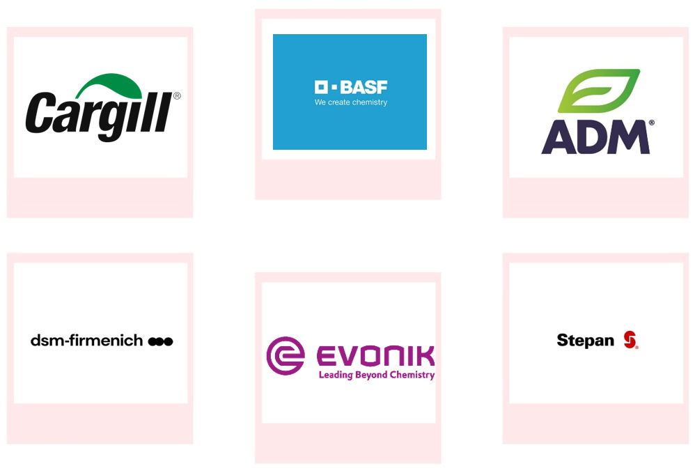Company mentioned Company mentioned