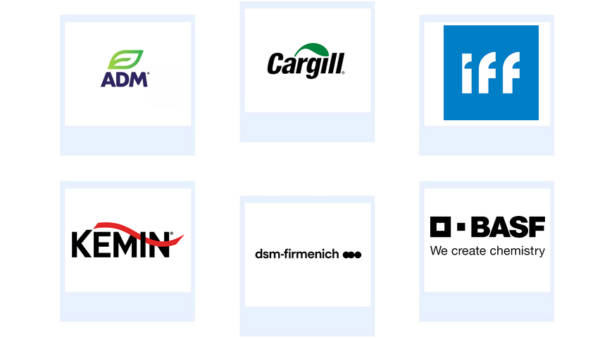 Company mentioned Company mentioned