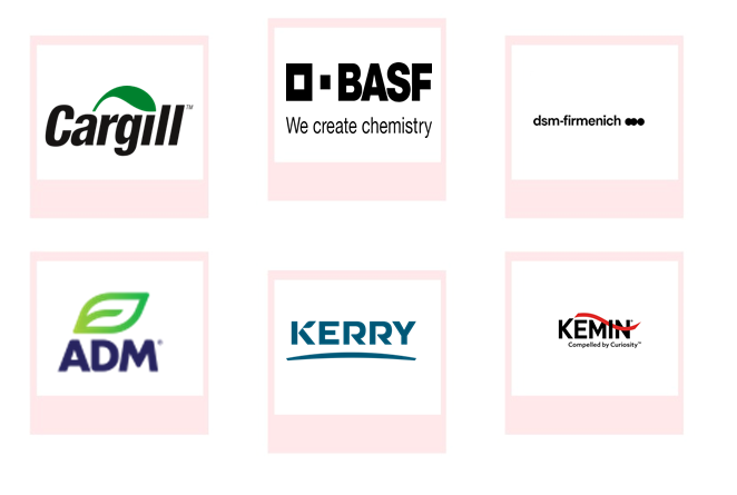 Company mentioned