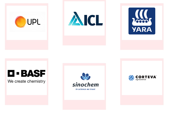 Company mentioned