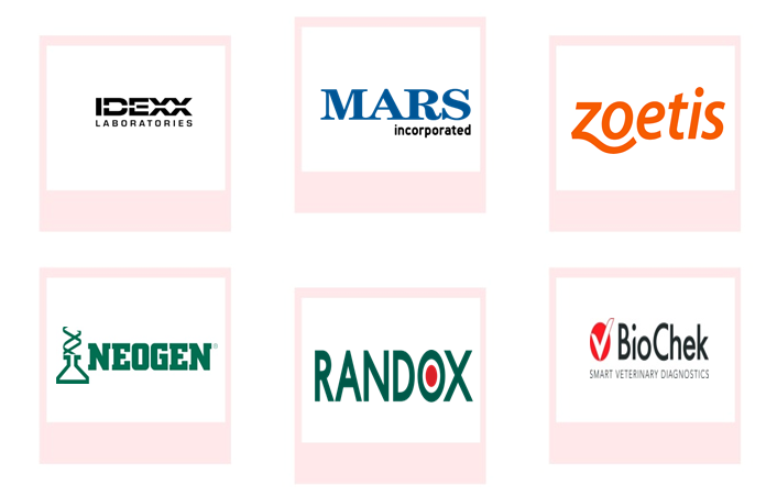 Company mentioned