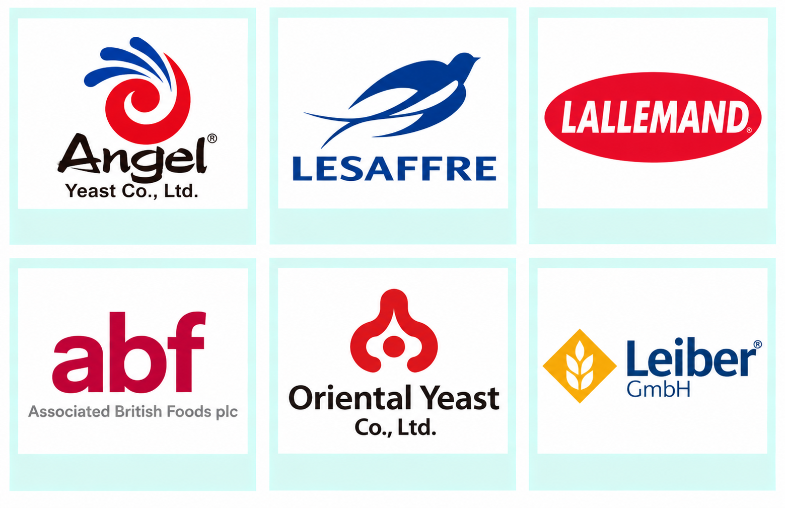 Company mentioned Company mentioned
