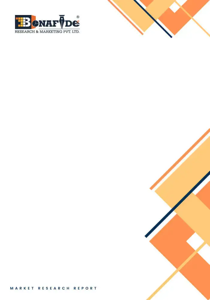 India Power Inverter Market Outlook, 2021