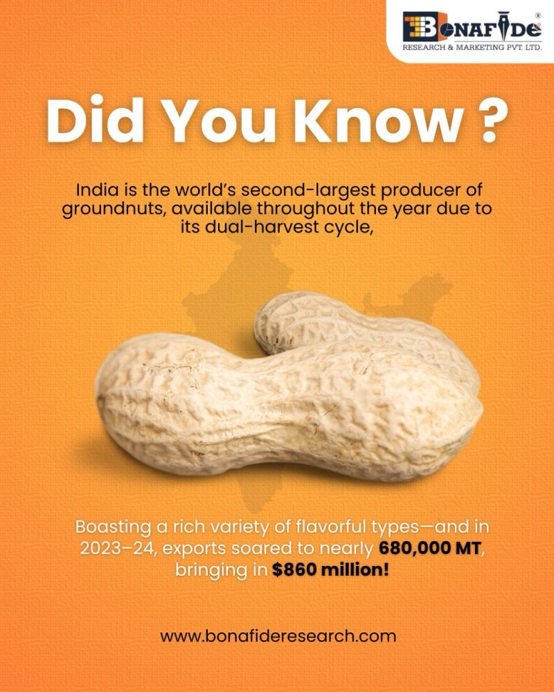 Global Groundnut Market