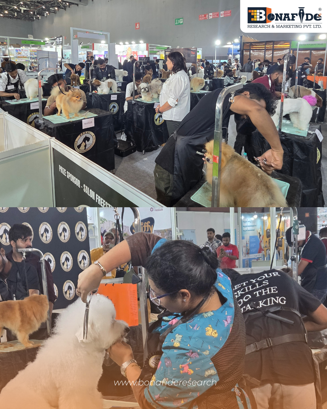 Delhi IIPTF Expo