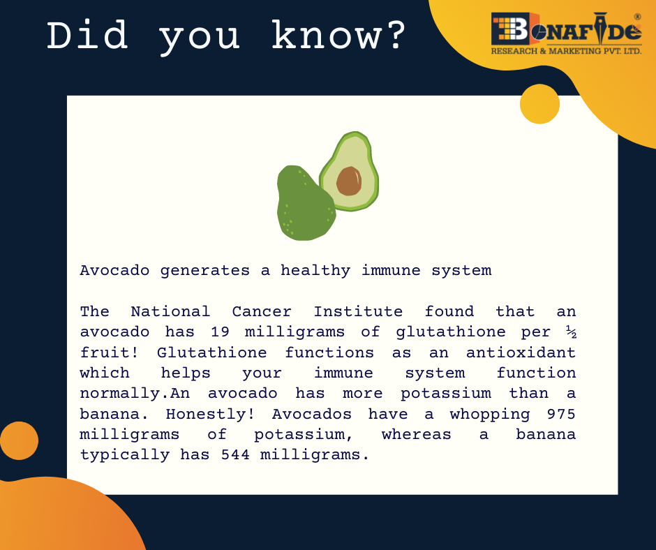 Interesting facts about Avokado