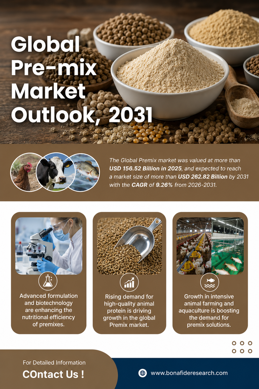 Global Premix Market