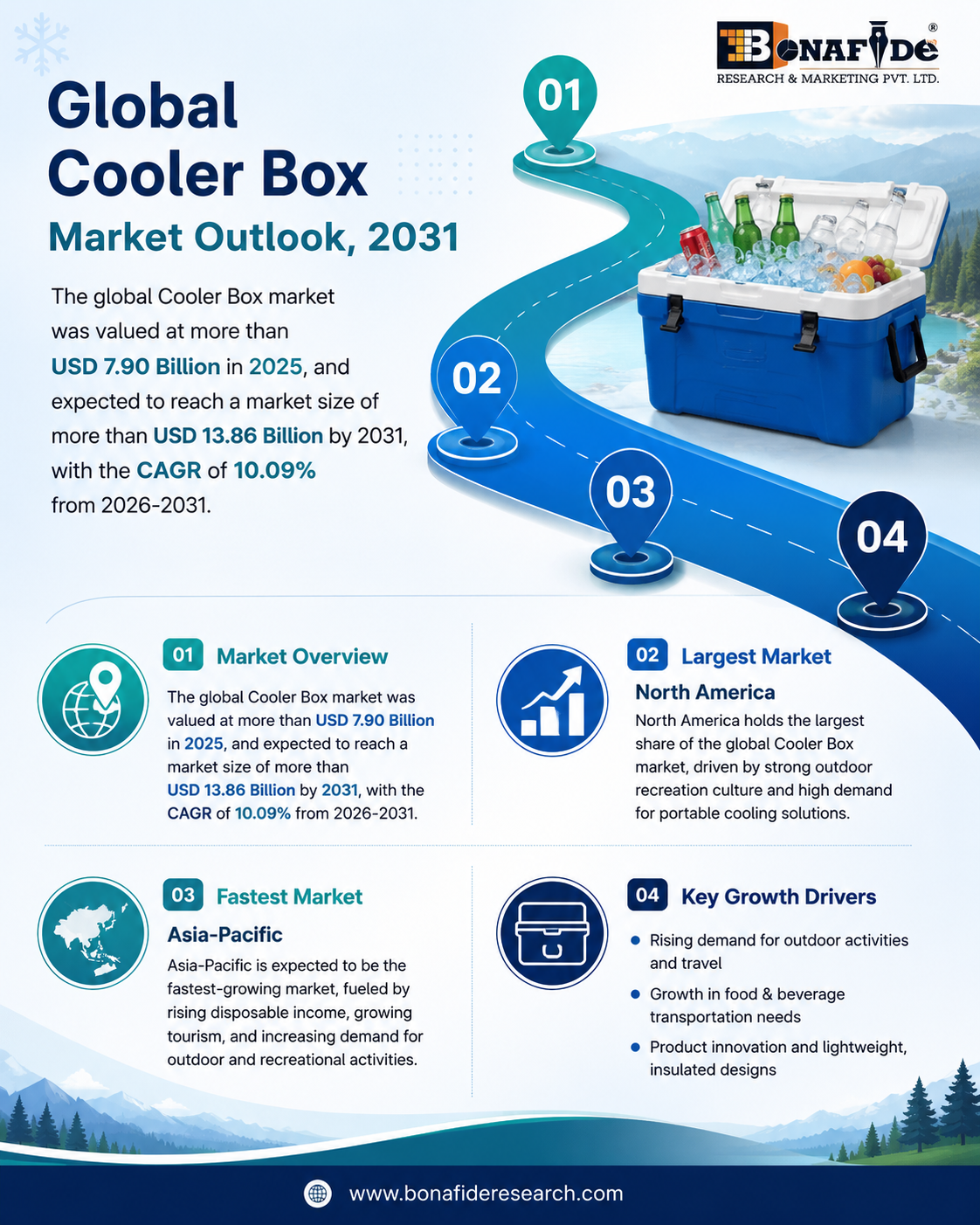 Global Cooler Box Market